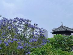 -凤翔首邑温泉度假村