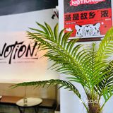 这家店满足了我要的色彩缤纷[吐][吐]