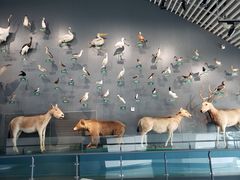 -中国湿地博物馆