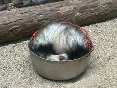-泉州海丝野生动物世界