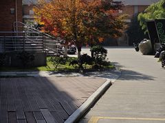 -浙江万里学院(钱湖校区)