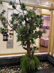 -芳朵美容养生SPA