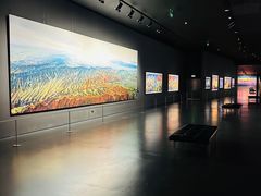 -罗红摄影艺术馆