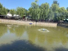 -尚庄度假村·庭台树下·户外烧烤·团建CS·轰趴营地(上庄水库店)