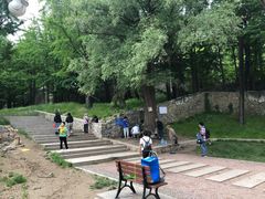 -阳台山自然风景区