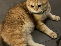 -天井·丑面包搭咖啡