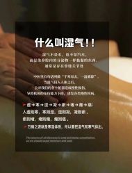-香薇妮丝·定制减肥·身材管理