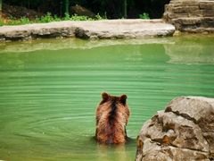 -杭州野生动物世界