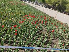 -长春公园(普阳街道)