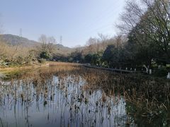 -八卦田遗址公园