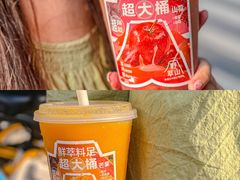 -野萃山·潮汕厚果汁(十亩地店)
