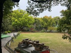 -申粤轩酒楼·三十年粤菜经典(丁香花园店)