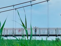 -西青郊野公园