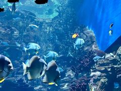 -香港海洋公园