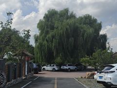 -老村长农家院