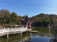 -青龙山国家森林公园