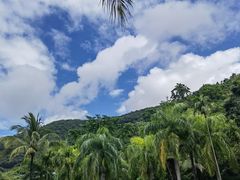 -西双版纳原始森林公园