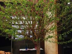 -北京好苑建国酒店