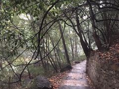 -郧西五龙河风景区