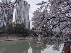 -红星桥(地铁站)