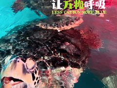 -正佳极地海洋世界