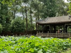 -宝光寺