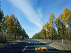 -塞罕坝国家级自然保护区