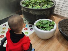 -813芭依珊 BAESAn(皇冠十畝地店)