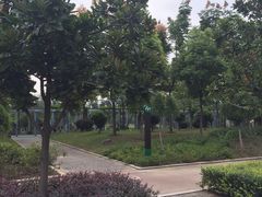 景点-汉江湾体育公园