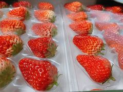 -山姆会员商店(杨桥西路店)