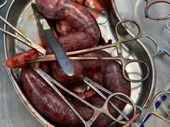 -瑞派动物医院·猫专科·至诚(江南中分院)