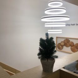 -THE LOG SALON 记录