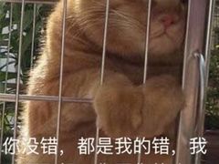 -幸福时光KTV(纬六路店)