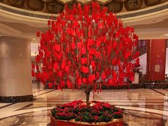 -北京中国大饭店