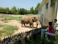 -西安秦岭野生动物园