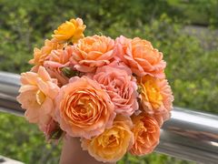 -中国计量大学(西校区)