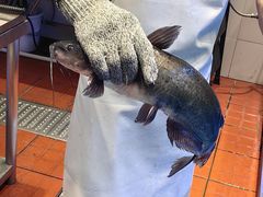 -鱼酷活鱼烤鱼(恒隆广场店)