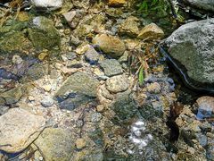 -碓臼峪自然风景区