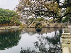 -普陀山慧济禅寺