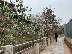 -广州市白云山风景名胜区