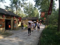 -合肥滨湖国家森林公园