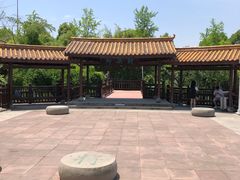 -铁山坪森林公园