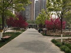 -丰台花园