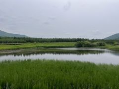 -御道口草原森林风景区