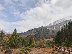 -硗碛藏寨·神木垒景区