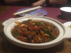 -雀舞云南菜(乐客城店)
