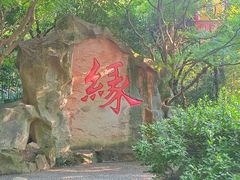 -杭州黄龙洞