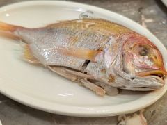 -吴记富苑(朝阳店)