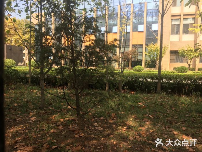 山东省青岛第二中学(江西路分校)图片