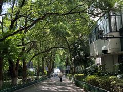 -杭州半山国家森林公园